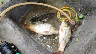 catch fish using mini water pump I fishing exciting I diy tractor @Banglacreatorr