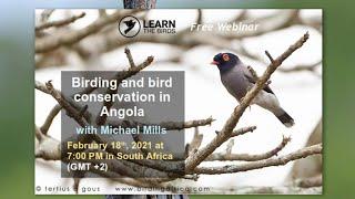 Birding and bird conservation in Angola