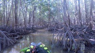 Everglades Wilderness Waterway: 100 Miles in Under 3 Minutes