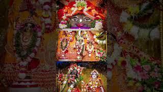 Bhaj Man Radhe Govinda || krishna Devotion || #shorts #krishna #radha #iskcon #vrindavan #mayapur