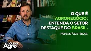 O que é Agronegócio | Doutor Agro | Marcos Fava Neves