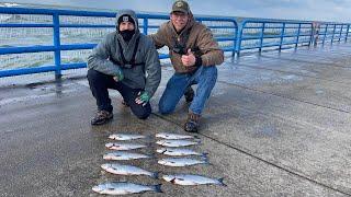 How to catch Coho Salmon on a pier in Lake Michigan! Limited Out!