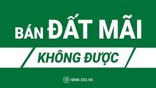 Bán Đất Mãi Không Được - Nguyễn Thành Tiến | NIK EDU