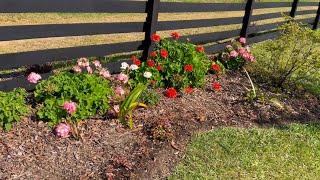 ANOTHER DAY IN THE GARDEN OF THE FARM TAKING CARE AND TRANSFORMING IT INTO A PARADISE FULL OF PLANTS