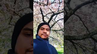 Ononto khan# quality time with nature# Liverpool # newham park# travelling # United Kingdom!