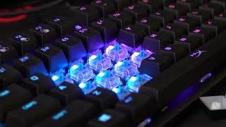 HyperX Alloy Origins Mechanical Keyboard HyperX Blue Switch Edition Typing Sound