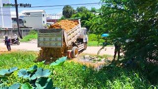 Good Full Video, Bulldozer Working, Processing Filling Up The Land huge, Dump Truck Unloading