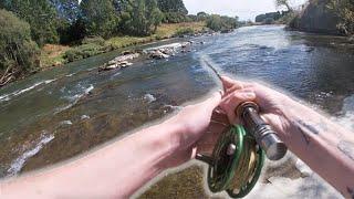 Fishing The BROWN TROUT CAPITAL Of The World (Fishing In A Fly Fishing Competition)