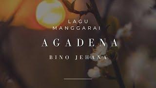 || AGADENA || BINO JEHANA|| COVER LAGU MANGGARAI|