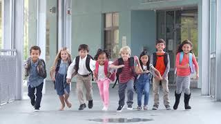 ZFA Commercial