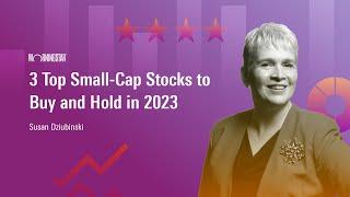 3 Top Small-Cap Stocks to Buy and Hold in 2023