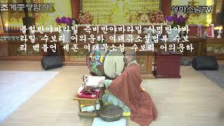 금강경독송(북,태징)