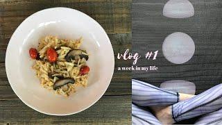 VLOG 1: vegan/plant based food  setting new moon intentions ⭐︎ zero waste grocery haul