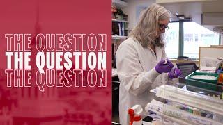 How do innovations move from the lab into the market? | The Question