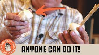 How to Grow Your Own Garlic!