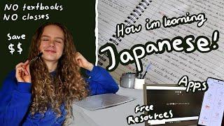 How I'm learning Japanese by myself! No textbooks, no classes