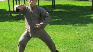 Chen Taiji in Russia - Chen Xiaowang