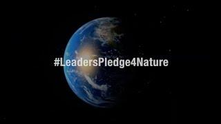 UNGA: World leaders endorse the Leaders' Pledge for Nature ahead of the UN Summit on Biodiversity