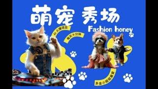 酷飒动物跳舞走秀时尚喵FASHION汪多金小姐姐最爱          资料网站：https://vx.jg-xmw.com/