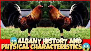 THE ALBANY HISTORY AND PHYSICAL CHARACTERISTICS.