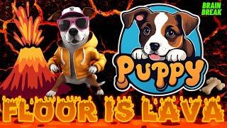 Puppy Floor Is Lava Challenge: Kids Exercise & Brain Break Game! | Dance & Move to Avoid the Lava!