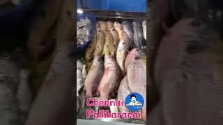 Ungal Meenavan chennai To order fish 9043859860#ungalmeenavan #seafood #fishlover