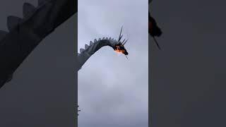 Real Fire Breathing Dragon! 