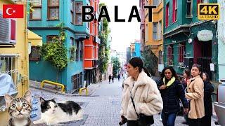 Balat Neighborhood Walking Tour Istanbul 4K : lot of cats on colorful streets