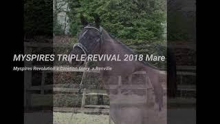 MYSPIRES TRIPLE REVIVAL 2018 Mare