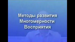 10.08.2009. Методы развития Многомерности Восприятия. Владивосток. Томилин В.