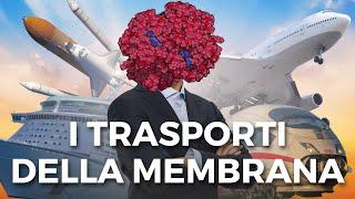 Tutto sui trasporti della membrana | La membrana cellulare parte 2