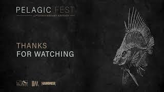 Pelagic Fest 2024 - Live Stream - Day 2