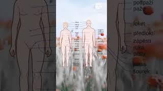 female and male of all body parts, #humanbody #animation #science #anatomy #human #viral #reels #gk