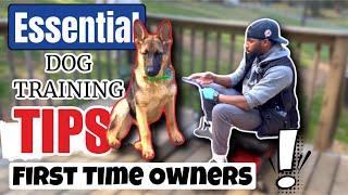 Essential Dog Training Tips For First Time Owners : LURING + FREE SHAPING