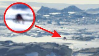 PREHISTORIC GIANT SPIDER MONSTER FOUND IN ANTARCTICA?!