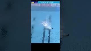 Diving. Men 10m. Platform. Oleksii SEREDA  World Aquatics Championships FUKUOKA 2023#shorts