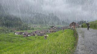 Heavy rain in my quiet village, very cold, immediately fell asleep with the sound of heavy rain