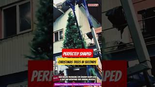 Christmas Tree Shaping Machine – Precision Trimming for Perfect Holiday Symmetry