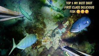 BONUS EPISODE TOP 5 MY BEST SHOT FIRST CLASS DELICIOUS FISH NIGHT SPEARFISHING PHILIPPINES