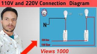 110V or 220V  volt bulb 60W light connection  110 and 220V