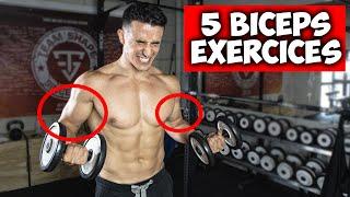 Des bras plus gros en 30jours ! (5 exercices biceps)