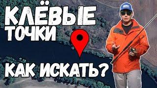 Поиск РЫБНЫХ мест НЕ ВЫХОДЯ ИЗ ДОМА! Спиннинг на реке!