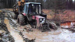 Day in wet forest with Belarus Mtz 892 + homemade trailer