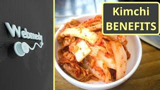 Kimchi: The Probiotic Powerhouse | Top 6 Health Benefits of Kimchi