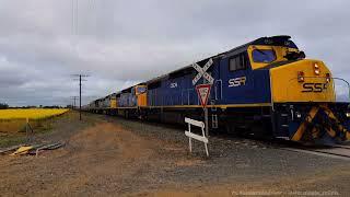 5 Locos - 100 Cars to Dimboola!