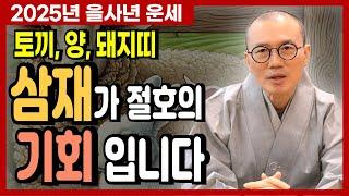 [2025년 을사년 삼재띠! 토끼띠, 양띠, 돼지띠] 삼재가 절호의 기회 입니다 [운곡스님의 점찰이야기]