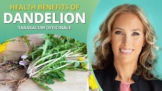 Dandelion | Benefits of Dandelion | Dr. J9 Live