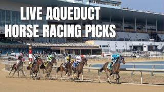 Live Aqueduct Horse Racing Picks