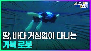 수륙양용 거북 로봇 출동!ㅣ세모이 [56회] / YTN2