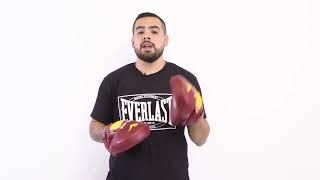 Everlast Elite Punch Mitts